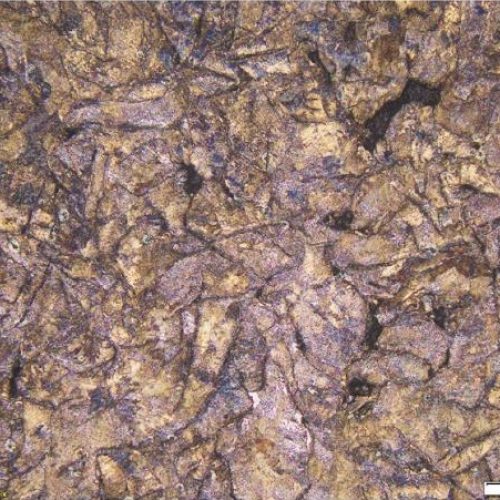 Kalite